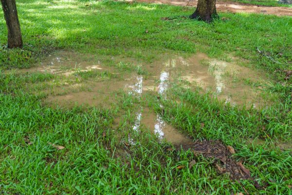Cost of Storm Water Drainage Service in Petaluma