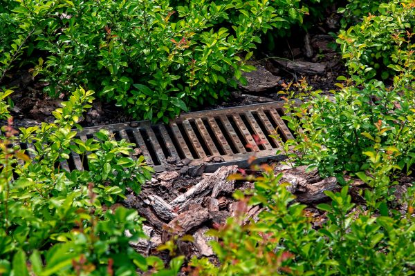 Cost of Underground Drainage Service in Petaluma