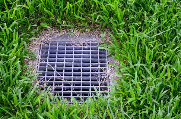 Cost of Yard Water Drainage in Petaluma