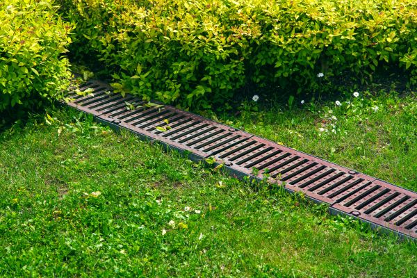 Cost of Lawn Drainage in Petaluma