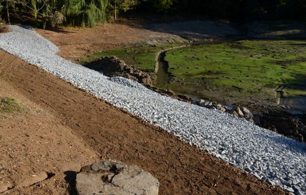 Cost of Landscape Swales Installation in Petaluma
