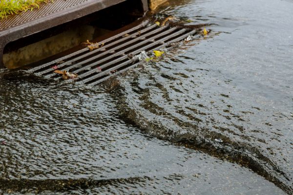 Cost of Storm Drainage Service in Petaluma
