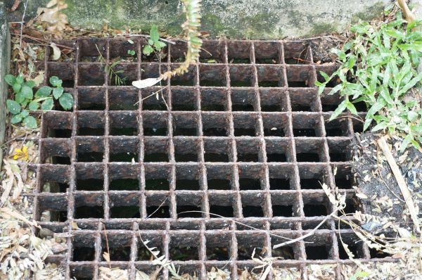 Cost of Yard Drain Cleaning in Petaluma
