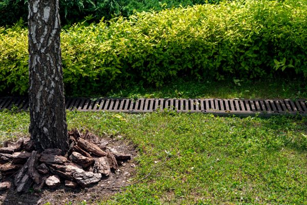 Cost of Wet Yard Drainage in Petaluma