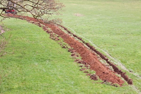 Cost of Swale Installation in Petaluma