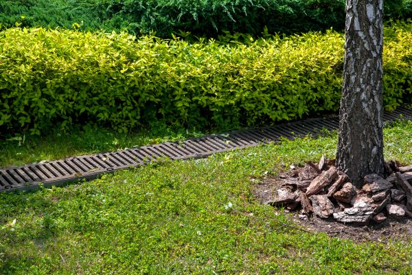 Cost of Residential Landscape Drainage in Petaluma