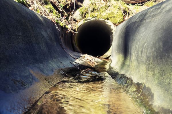 Drainage Swale Installation in Petaluma