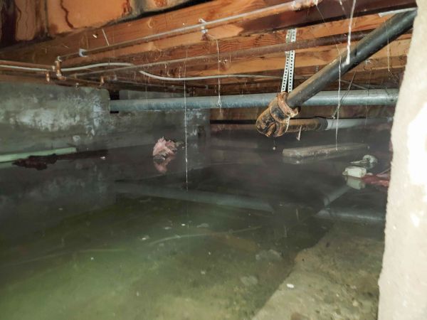Cost of Crawlspace Drainage in Petaluma