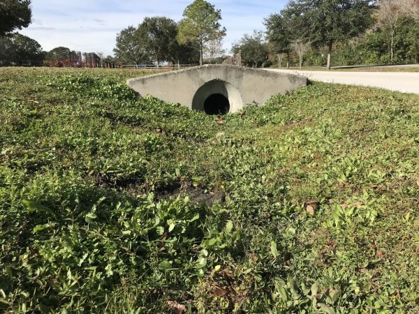 Cost of Swale Drainage Service in Petaluma